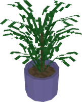 Plante
